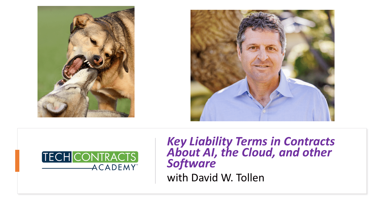 Training Available: Key Liability Terms in Contracts about AI, the ...